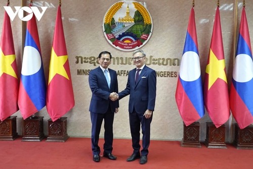 Vietnam, Laos hold foreign minister-level political consultation - ảnh 1