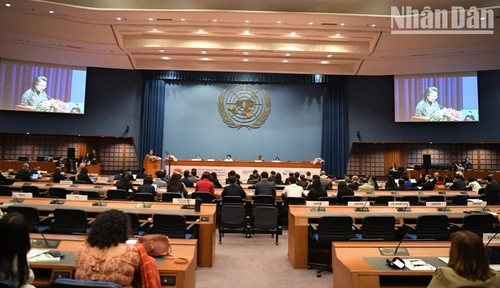 Vietnam jointly addresses global migration challenges  - ảnh 1