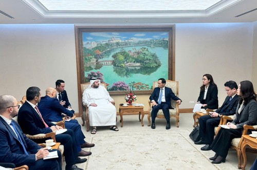 Vietnam values further Comprehensive Partnership with UAE  - ảnh 1