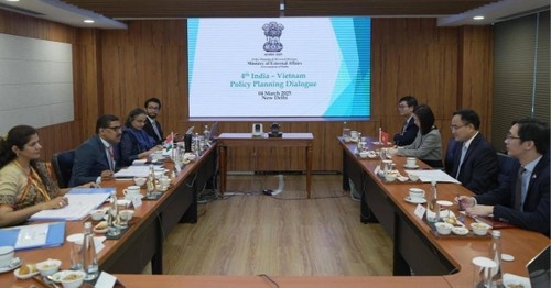 Vietnam, India hold political consultation - ảnh 1