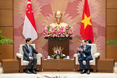 Vietnam’s key leaders meet visiting Singaporean PM  - ảnh 4