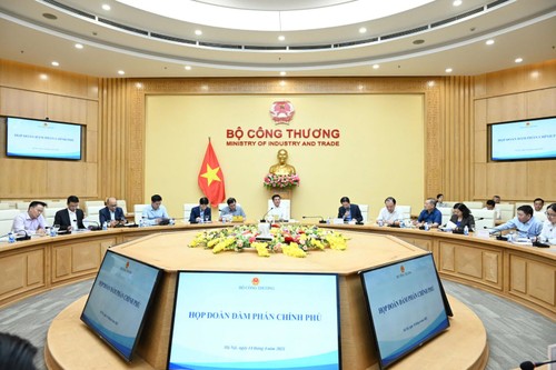 Government negotiation team on trade issues with US convenes first meeting  - ảnh 1