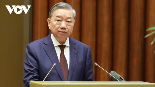 Top leader urges greatest determination to achieve goals set by Party plenum  - ảnh 2