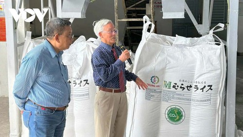 Vietnam among first countries to export low-emission rice  - ảnh 2