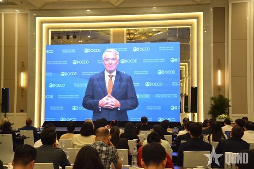 OECD report calls on Vietnam to continue reform - ảnh 1