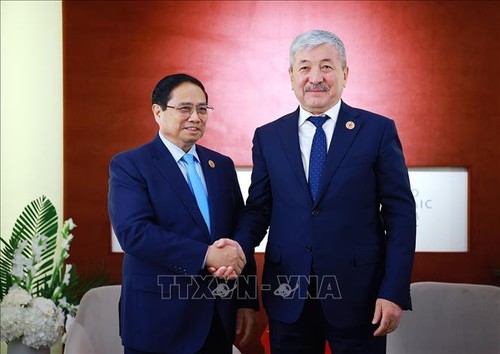 Prime Minister meets with leaders of countries  - ảnh 1