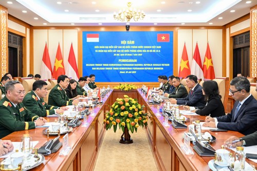 Political, defense, security cooperation are pillars of Vietnam-Indonesia relationship - ảnh 4