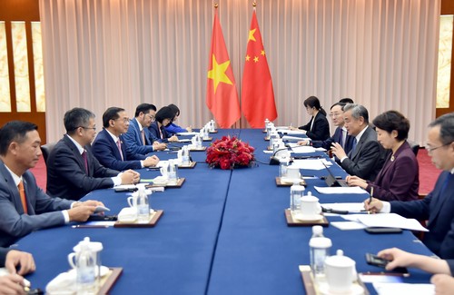 Vietnam, China urge deeper Mekong-Lancang cooperation - ảnh 1