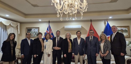 Vietnamese ambassador meets Australian MPs in Canberra  - ảnh 1