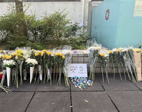 Hong Kong apartment fire: Death toll rises to 146  - ảnh 1