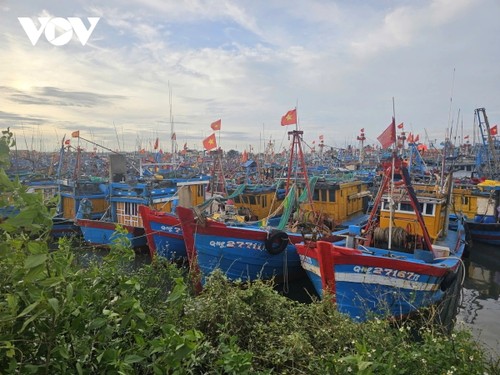 Quang Ngai helps fishermen transition to new job  - ảnh 1