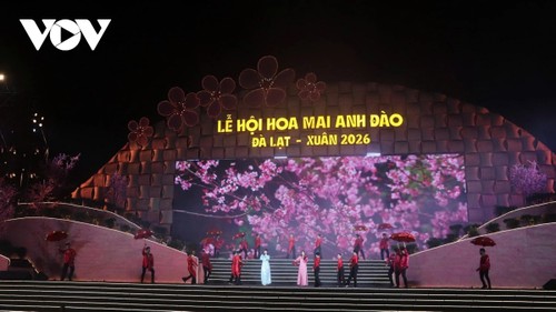 Cherry blossom festival opens in Da Lat  - ảnh 2