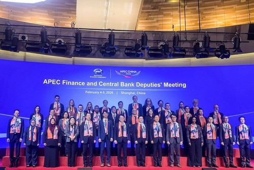 Vietnam shares finance experience at APEC meeting - ảnh 1