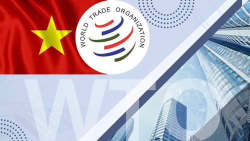 Vietnam's economy operates according to market laws, WTO regulations - ảnh 1