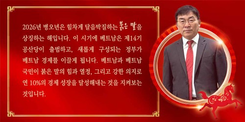 베트남‧한국 관계: 발전의 염원을 향한 ‘포괄적 전략적 동반자’ - ảnh 10