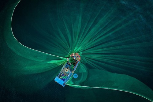 Фотография продавца рыбы, сделанная во Вьетнаме, выиграла Гран-при американского фотоконкурса Smithsonian  - ảnh 5