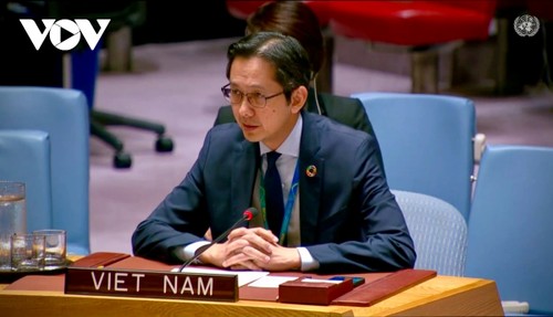 Vietnam ruft zur Stärkung des Multilateralismus und zur friedlichen Beilegung von Streitigkeiten auf - ảnh 1