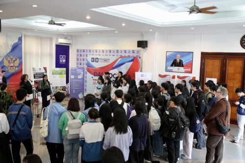 Народная дипломатия в отношениях Вьетнама и России: мост, соединяющий сердца двух народов - ảnh 6