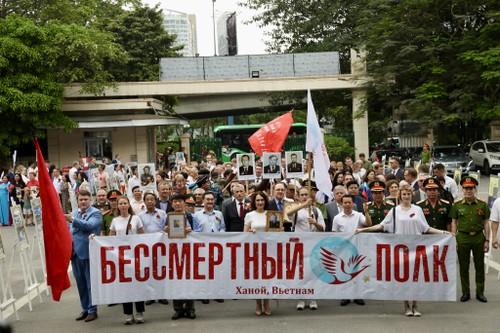 Народная дипломатия в отношениях Вьетнама и России: мост, соединяющий сердца двух народов - ảnh 8