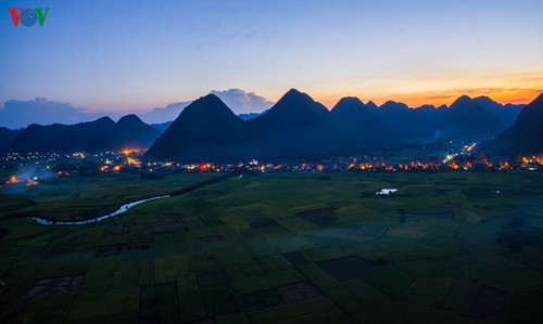 Bac Son rice fields turn yellow amid harvest season - ảnh 10