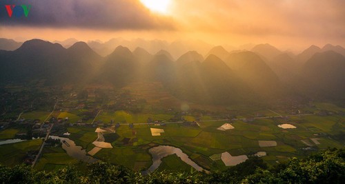 Bac Son rice fields turn yellow amid harvest season - ảnh 11