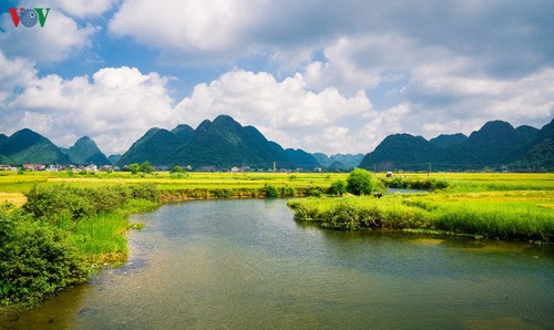 Bac Son rice fields turn yellow amid harvest season - ảnh 16