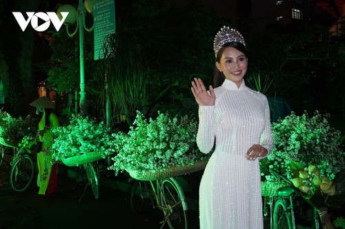 Fashion show opens Ao Dai Festival in HCM City - ảnh 2