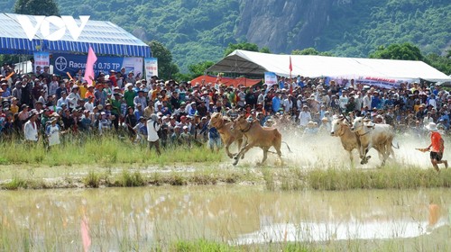 Hơn 25.000 người đến xem và cổ vũ Hội đua bò Bảy Núi - ảnh 7