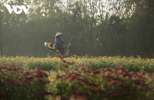 Huế mộng mơ những ngày cuối đông - ảnh 4