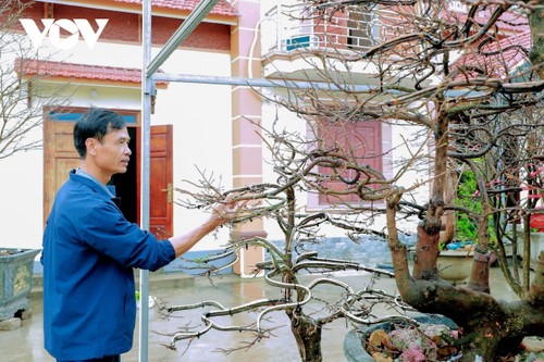 Màu no đủ ở làng hoa lớn nhất Quảng Ninh - ảnh 10