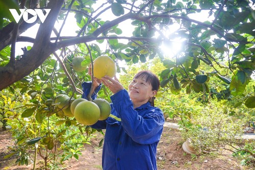 Diện mạo Đông Triều - đô thị trên đường trở thành thành phố thứ 5 của Quảng Ninh - ảnh 7