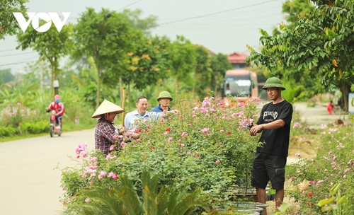 Diện mạo Đông Triều - đô thị trên đường trở thành thành phố thứ 5 của Quảng Ninh - ảnh 8