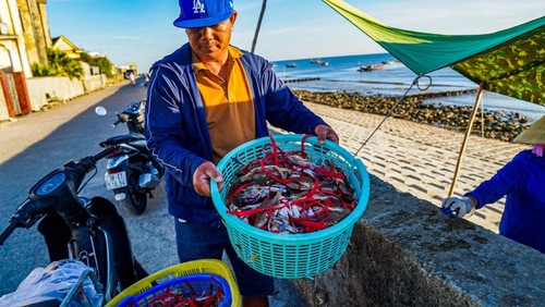 Ngắm bình minh rực rỡ sắc màu ở 'cung đàn biển' miền Trung - ảnh 13