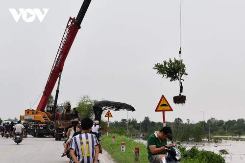 Nước lớn đổ về, người dân khu vực đê tả sông Hồng ở Hưng Yên oằn mình chạy lũ - ảnh 12