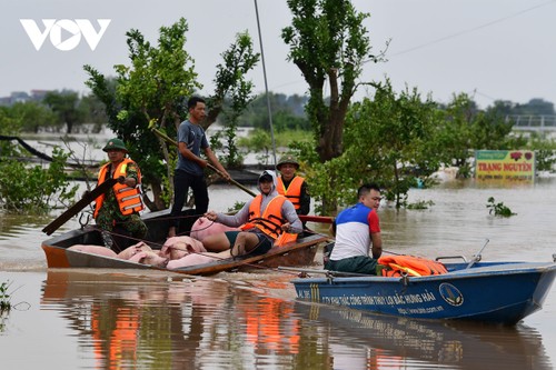 Nước lớn đổ về, người dân khu vực đê tả sông Hồng ở Hưng Yên oằn mình chạy lũ - ảnh 6