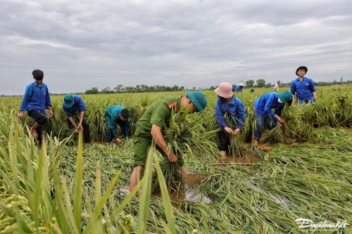 Những hình ảnh đẹp ấm tình quân dân trong bão lũ  - ảnh 3