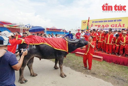 ĐTVH: Các sự kiện văn hoá nổi bật trong tuần qua ảnh - ảnh 15