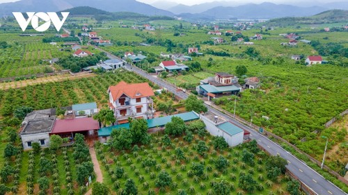 “Làng trong phố”, “phố trong làng” ở thành phố thứ 5 của tỉnh Quảng Ninh - ảnh 8