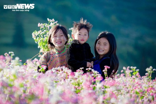 Thảo nguyên ở Hà Giang đẹp như 'Thụy Sĩ thu nhỏ' giữa mùa hoa tam giác mạch - ảnh 6