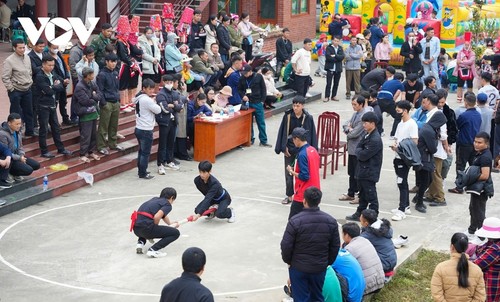 Hoa sở nở trắng rừng trên biên giới Quảng Ninh - ảnh 10