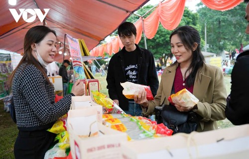 Hoa sở nở trắng rừng trên biên giới Quảng Ninh - ảnh 11