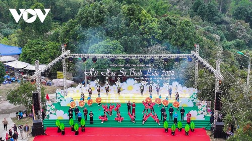 Hoa sở nở trắng rừng trên biên giới Quảng Ninh - ảnh 1