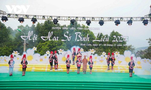 Hoa sở nở trắng rừng trên biên giới Quảng Ninh - ảnh 4