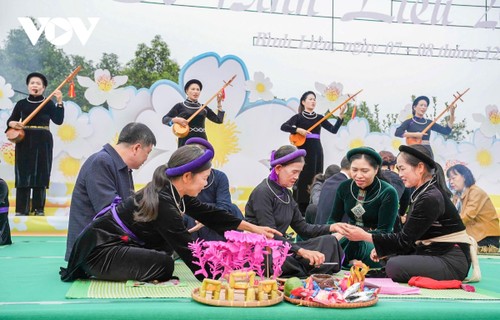 Hoa sở nở trắng rừng trên biên giới Quảng Ninh - ảnh 5