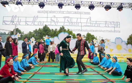 Hoa sở nở trắng rừng trên biên giới Quảng Ninh - ảnh 6