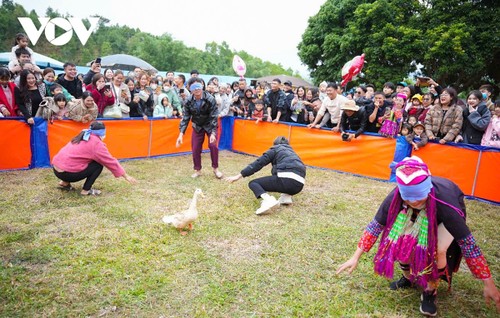 Hoa sở nở trắng rừng trên biên giới Quảng Ninh - ảnh 9