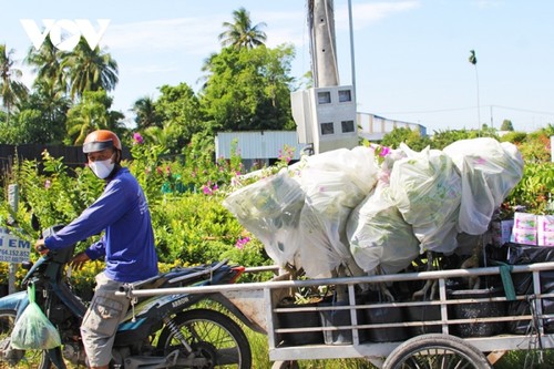 Rực rỡ sắc xuân ở làng hoa Sa Đéc - thủ phủ hoa lớn nhất miền Tây - ảnh 14