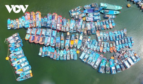 50 năm sau ngày giải phóng, Đà Nẵng thay đổi ngoạn mục - ảnh 11