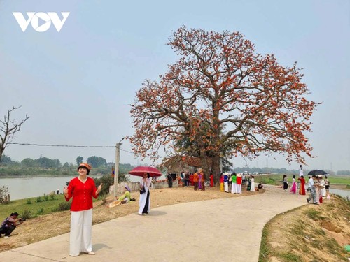 Du khách nô nức chụp ảnh bên cây gạo hơn 200 tuổi nở hoa rực rỡ ở Bắc Giang - ảnh 2