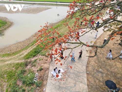 Du khách nô nức chụp ảnh bên cây gạo hơn 200 tuổi nở hoa rực rỡ ở Bắc Giang - ảnh 7